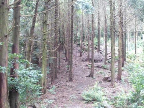 画像13
